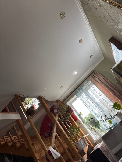 The image shows an interior view of a room, likely a residential space, in Kozmodemyansk, Russia. The perspective is from a low angle, looking upwards towards the ceiling and a window. A wooden staircase dominates the left side of the frame, with several potted plants placed on or near the steps. A large red decorative fan with floral motifs is leaning against the railing of the staircase.
The ceiling is white with decorative molding and recessed lighting fixtures. The right side of the image features a window with sheer patterned curtains, allowing natural light to enter the room. Outside the window, greenery is visible, suggesting a location with outdoor vegetation. On a ledge beneath the window, more potted plants are arranged. To the right of the window, a portion of what appears to be a large cabinet or furniture piece is visible. The walls are painted a neutral color and have patterned wallpaper in some areas, particularly near the ceiling. The overall impression is of a well-decorated living space with a focus on natural elements and a somewhat rustic aesthetic, possibly reflecting the style common in residential areas of Kozmodemyansk. There are no people visible in the image.