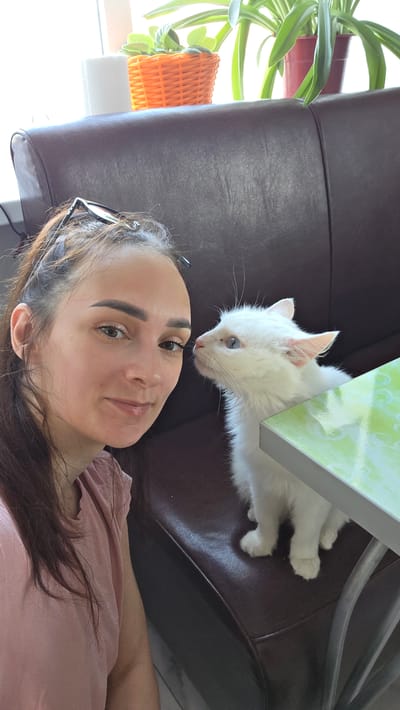 A young woman with dark hair pulled back, wearing a pink t-shirt, is taking a selfie with a fluffy white kitten. She is sitting on a dark brown leather bench. The kitten, with striking blue eyes, is looking up at the woman, its nose nearly touching hers. A light green patterned table edge is visible in the foreground. In the background, a window with bright light shows two potted plants. The setting appears to be indoors, possibly a cafe or a home. There are no specific landmarks in the image that would indicate the location in Старошареево, Russia.