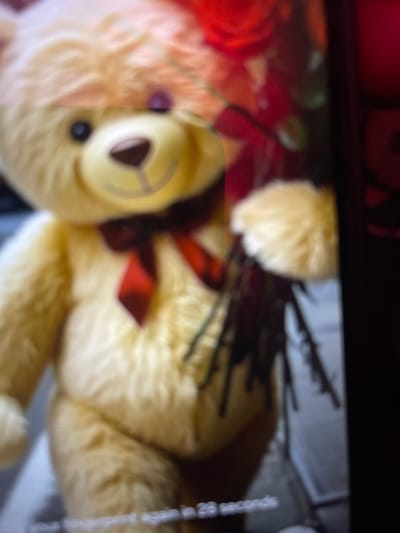 The image displays a severely blurry photograph of a screen, likely a mobile device, presenting a light yellow or cream-colored plush teddy bear as its primary subject. The bear stands upright, facing the viewer, featuring a dark, indistinct nose, black eye spots, and a stitched mouth indicating a smile. A prominent red bow is tied around its neck. The bear holds a bouquet of several red roses with green stems in its right paw. The background behind the bear is entirely out of focus and lacks identifiable features. At the bottom of the screen display, a partial text overlay is visible, stating "...your fingerprint again in 28 seconds," suggesting a device security or lock screen message. No specific environmental or architectural details are discernible to indicate a location in Mape, Nigeria, or any other specific geographical area.