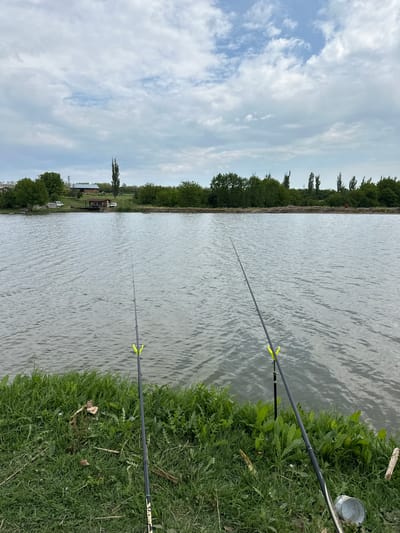 The image depicts a body of water, likely a lake or river, with grassy banks on both sides. Two fishing rods are visible, extending from the right bank into the water, each with a yellow rod rest. A metal container is located near the end of one fishing rod. Trees line the opposite bank. In the distance, structures resembling small buildings or sheds are observed. The sky is overcast with light and dark clouds. The image suggests an outdoor setting in Alekovo, Bulgaria, focused on fishing.