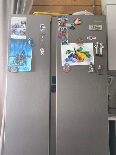 The image shows a Hisense refrigerator in a room with light-colored walls and a wooden ceiling. The refrigerator doors are decorated with various magnets and a painting. The left door has a painting of two snow-covered trees in a winter landscape, a magnet with a seahorse, and a collage of photos and text. The right door features a watercolor painting of a pear and plums, a magnet shaped like a lighthouse, a small figurine of a woman, a magnet with two sailor figures, a magnet depicting a building with a green dome, and a magnet in the shape of a dollar bill with Russian text. There are also several other smaller magnets on this door, including one with a cartoon character. The refrigerator is situated in a domestic setting, likely a kitchen. There is no specific indication of the city of Khomutovo, Russia, in the visual details provided.