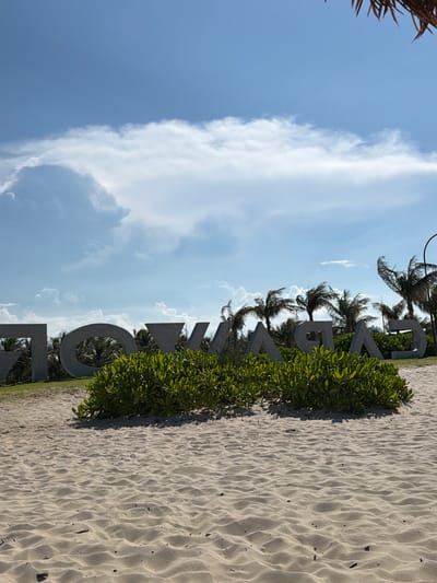 In Bac Cam Ranh Ward, Vietnam, on a sandy beach, large concrete letters spelling "CASA" are positioned behind a thick hedge of green foliage. The letters are monumental in scale, with the "C", "A", "S", and "A" clearly visible. The beach itself is composed of light-colored sand, with visible ripples and some small debris. Behind the hedge and the letters, palm trees with their fronds blowing in the wind suggest a breezy coastal environment. The sky above is a vibrant blue, punctuated by fluffy white clouds. A piece of a thatched roof structure is visible in the upper right corner of the image. The scene appears to be an outdoor landmark or attraction, likely at a resort or public area.