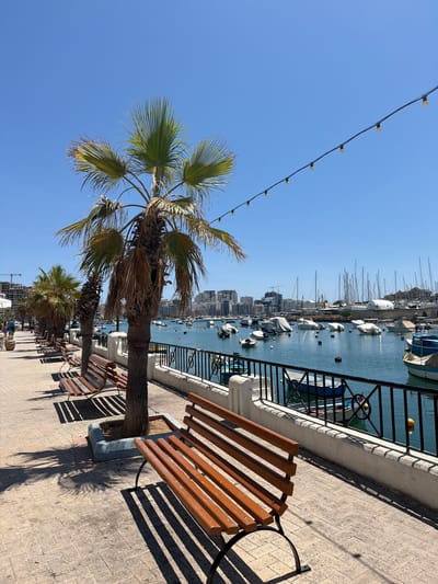 The image depicts a sunny day in Gżira, Malta, along the waterfront promenade adjacent to the marina. The foreground features several empty wooden benches situated on a paved walkway. Palm trees cast long shadows across the path, indicating the bright sunlight.
Beyond the walkway and separated by a black metal railing, a calm blue body of water is visible, filled with numerous boats of various sizes. Many of the boats are covered with white tarps, suggesting they are not in active use or are being protected from the elements. In the background, the cityscape of Gżira is discernible, with buildings and construction cranes indicating urban development. The sky is clear and bright blue. A string of decorative lights hangs across the upper portion of the image, stretching from left to right. There are no visible people in the immediate foreground or midground of the image.