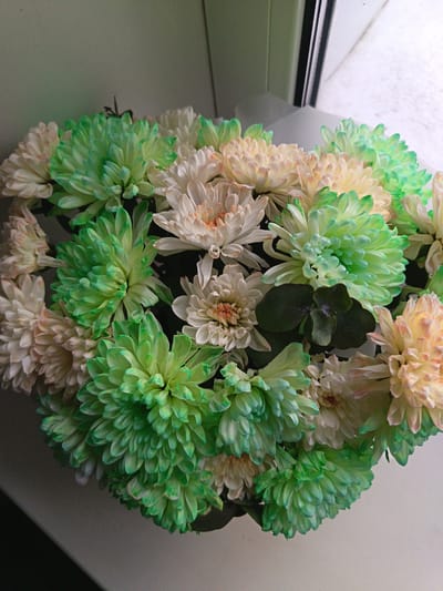 The image shows a bouquet of chrysanthemums in shades of white and green. The flowers are arranged tightly together, creating a dense, rounded shape. A single, four-leaf clover is visible among the blooms. The bouquet sits on a white surface, likely a windowsill, with a window visible in the background. The location of the image is Nizhnevartovsk, Russia.