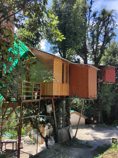 The image captures a charming wooden treehouse complex situated amidst lush green trees and foliage, likely in a natural or rural setting. The main treehouse structure is elevated on stilts and features a wooden facade with a green translucent roof. A staircase leads up to a small balcony. Adjacent to the main structure, another smaller, reddish structure is also visible, perched on stilts among the trees. Below the treehouses, a pathway is visible, with a small table and chairs set up on the left side, hinting at an outdoor seating area. The ground is covered with a mix of dirt and gravel. A small building with a light-colored wall and a green roof is visible in the background, further suggesting a rustic retreat or resort. The scene is illuminated by bright sunlight, casting shadows and highlighting the textures of the wood and the surrounding greenery. The sky above is partly cloudy with a clear blue hue. There are no people visible in the frame. The location is identified as Chhyal, India.