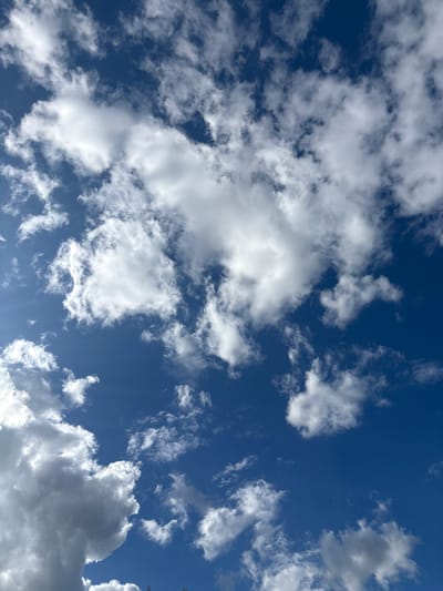 This image is a low-angle, vertical shot of a bright blue sky filled with white, fluffy cumulus clouds. The clouds vary in size and density, with some appearing as large, billowy masses and others as smaller, scattered wisps. The sunlight illuminates the clouds from above and to the left, creating highlights and shadows that give them a three-dimensional quality. There are no discernible man-made structures or natural landscape elements visible in the frame. The image was captured in Słupia pod Kępnem, Poland.