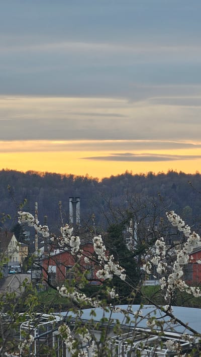 Captured from an elevated vantage point, the image presents a scene in Rheinfelden, Switzerland, likely from a residential area. The sky, painted in shades of gray and orange, suggests either a sunrise or sunset. A line of trees sits between the sky and the developed section of Rheinfelden. There are structures with red roofs and glimpses of the town, and what appears to be a factory site is observed towards the lower part. A blooming tree with white flowers is present. The scene is a suburban or semi-urban area.