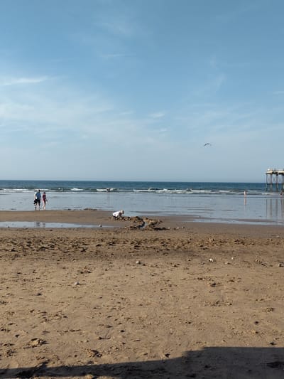 A wide-angle, eye-level shot captures the beach at Saltburn-by-the-Sea, United Kingdom, under a clear blue sky with scattered wispy clouds. The foreground is dominated by damp, sandy beach with footprints and small pebbles. In the mid-ground, shallow water from the receding tide covers a flatter stretch of sand, reflecting the sky.
Further back, the North Sea exhibits moderate waves and a deep blue hue, meeting the horizon. A pier, constructed of dark metal supports and a wooden walkway, extends from the right side of the image into the sea.
Several people are present. On the left side of the mid-ground, a man and a woman stand facing each other. The man is wearing a blue t-shirt and shorts, carrying a black bag. The woman wears a red top and white shorts. To their right, a child in a pale pink top is crouched down, playing with sand. In the water, several individuals are visible, some appearing to be swimming or wading. A solitary bird is in flight in the upper portion of the image, above the sea.