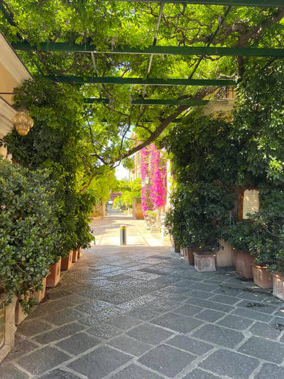 This image depicts a sun-dappled walkway in Sorrento, Italy, likely lined with potted plants and flowering vines. The walkway is paved with dark, irregular stones. On the left, lush green foliage spills from large pots, partially obscuring a building with a light-colored facade and a decorative lantern hanging from an overhead structure. On the right, more potted greenery frames the walkway, and a small plaque is affixed to the wall. The walkway extends into the distance, leading towards a street or plaza bathed in sunlight, where pink flowers cascade down a building on the right. The overhead structure, a pergola covered with green leaves and some light purple flowers, casts dappled shadows on the ground. The scene evokes a sense of tranquility and Mediterranean charm, characteristic of Sorrento's picturesque streets.