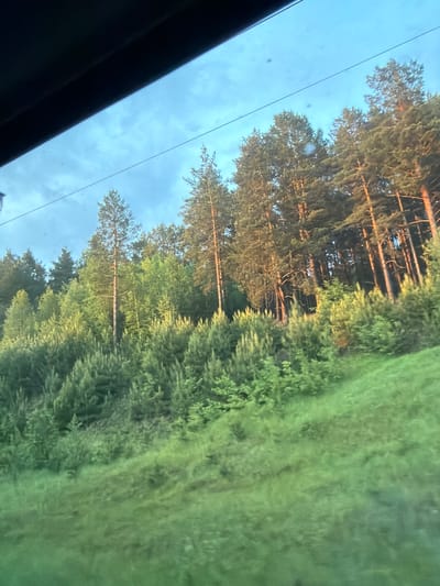 The image depicts a scene from a vehicle, with a partial view of the car's interior on the left. The primary view is through a window showing trees and sky. A line, possibly a power line, is visible across the sky. The trees are a mix of coniferous and deciduous types, showing various shades of green. The ground beyond the trees is a lush, green field. The sky is a light blue with scattered clouds. The image is taken from a slightly skewed angle, tilting towards the right. There's no evidence indicating a specific location in Arsk, Russia.
