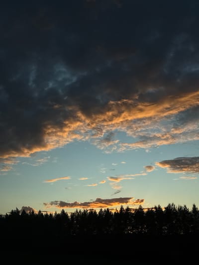 This is a vertical, medium shot photograph of a twilight sky above a silhouette of a dense forest line. The sky is divided into distinct layers. The upper portion is dominated by dark, brooding storm clouds, tinged with hints of deep blue and gray. Below these, wispy clouds catch the last rays of the sun, glowing with vibrant shades of orange and gold. Further down, a lighter blue sky transitions to a lighter hue near the horizon. The treeline at the bottom of the frame is rendered in pure black silhouette, obscuring any detail of the trees or the landscape beyond. The overall impression is one of dramatic natural beauty as day gives way to night. The location of Большое Тябердино, Russia is noted as the context for this image.