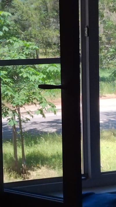 An outdoor scene viewed through a window. In the foreground, the dark frame of the window is visible, with a dark handle on the left side. Through the glass, a bright green tree with large leaves is prominent, positioned in front of a blurred background of more trees and foliage. A paved surface, possibly a road, is visible behind the tree, with dappled sunlight and shadow. The ground is covered in green grass. The right side of the image shows the edge of another window frame with a metallic latch. The image appears to be taken from an interior looking outwards. The overall impression is a sunny day in a natural or semi-natural environment, possibly a residential area or park. The location is specified as Yana, Bulgaria.