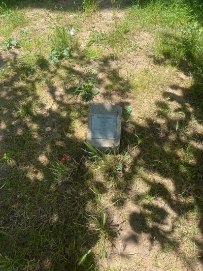This is a ground-level, eye-level, medium shot of a concrete marker in a grassy, somewhat unkempt area, likely outdoors. The marker, which appears to be a grave marker or a utility marker, is light gray and has a metal plate attached to its surface. The metal plate contains text that is partially visible. The text on the plate reads "DELGAZ GRID" at the top, and below that, "PAU77". Further down, there is an arrow pointing left with "LES" and "6KV" below it. The marker is surrounded by dry and green grass, dirt, and some scattered debris, including what appears to be a small red object resembling a candy wrapper. The scene is illuminated by sunlight, casting dappled shadows from overhead foliage, suggesting it is daytime. The overall impression is one of a neglected outdoor space. The location is specified as Iași, Romania.