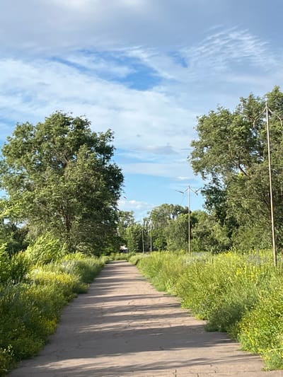 The image shows a paved pathway in a park-like setting. Tall green trees with dense foliage line both sides of the pathway, with abundant green vegetation, including yellow wildflowers, growing on the edges of the path. The sky above is a bright blue with scattered white clouds. In the distance, along the pathway, several thin, pole-like structures are visible, some with what appear to be decorative metal tops. The pathway itself is mostly in shadow, indicating the sun is at an angle. The scene appears to be a tranquil outdoor environment, possibly a public park or a nature trail within the city of Shyroka Dacha, Ukraine, given the context. There are no people or animals visible in the image.