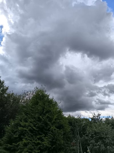 A wide-angle shot captures a dramatic sky filled with dark, heavy clouds, suggesting an impending storm. The clouds dominate the upper two-thirds of the frame, with patches of brighter sky and lighter clouds visible on the left and in the upper right corner. The lower third of the image is filled with lush green foliage from trees and shrubs. A large, dense evergreen tree is prominently featured in the foreground on the left. In the background, a line of trees and foliage stretches across the horizon. Part of a metal structure, possibly a swing set or garden support, is visible in the lower right quadrant. The scene is devoid of any people or animals. The image depicts an outdoor environment, likely a backyard or garden in Dedovichi, Russia, under overcast and potentially stormy weather conditions.