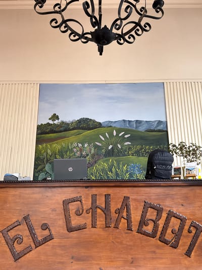 The image shows an interior with a decorative chandelier on the left and a wooden door with the name "EL CHACOLI" carved into it on the right. Behind the door is a wall with vertical slats and a landscape painting. The painting depicts a valley with mountains in the background and lush vegetation in the foreground. A laptop computer sits on the painting's lower right corner. A black jacket is visible above the laptop. The image was taken in Salta, Argentina.