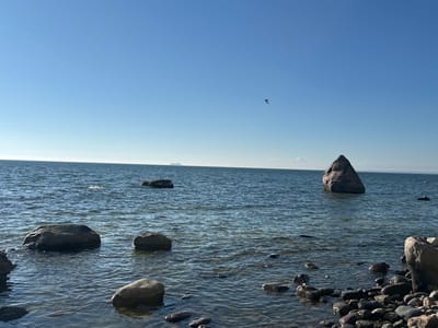 The image shows a body of water with several large rocks scattered in and along the shore. The water is calm with small ripples. The sky is a clear blue with a faint white contrail from an airplane and a small bird in flight. In the distance, a large ship is visible on the horizon. The shoreline is rocky with many smaller stones and boulders. The scene appears to be a natural landscape. The location is Rannamõisa, Estonia.
