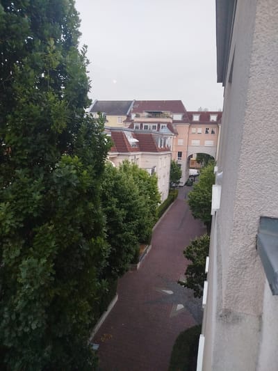 The image depicts a view from a window looking down onto a street in Offenbach am Main, Germany. On the left side of the image, a large tree with dark green foliage dominates the foreground. The street, paved with reddish-brown bricks, curves into the distance. Several apartment buildings with red-tiled roofs and light-colored facades line the street. An archway connects two of the buildings in the mid-ground, revealing a glimpse of more buildings and trees beyond. A white van and two green trash bins are visible on the street near the archway. The sky is overcast with a faint glow indicating either dawn or dusk, and a small, hazy moon is visible. A textured, light-colored building wall occupies the right side of the frame.