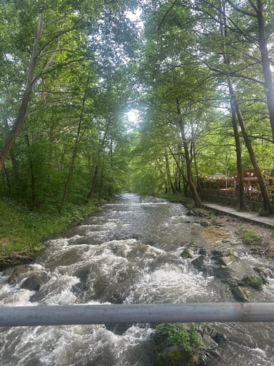 The image depicts a river flowing through a forested area, with trees lining both sides. The water is turbulent, with white water visible, indicating a fast current. A metal post is visible on the right side of the frame, partially obscuring the view. The location is Parvenets, Bulgaria. In the distance, near the river, there is a building and people are gathered outside.
