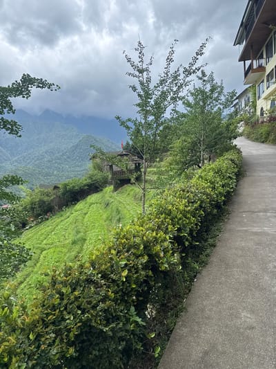 The image shows a landscape in Sa Pa Ward, Vietnam. A concrete path runs along the top right. To the left of the path is a dense row of bushes and small trees. Further in the background, a hillside covered in lush green vegetation slopes down to a valley obscured by mist and clouds. In the midground, a small wooden structure sits on the hillside. Buildings are visible in the upper left corner of the image. The sky is overcast.