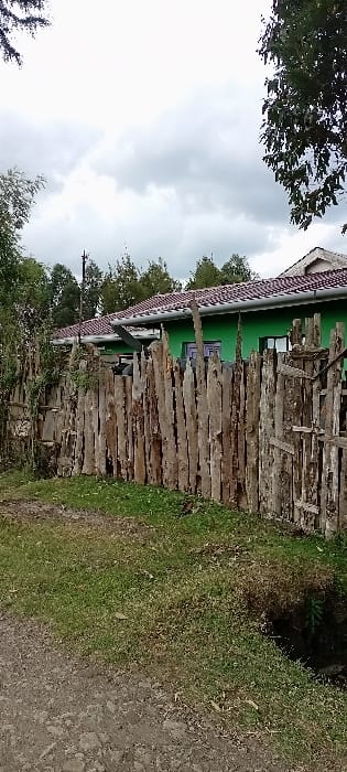 The scene depicts a daytime exterior view in Heni Village, Kenya, under an overcast sky. A rustic wooden fence, composed of vertically arranged, weathered, irregularly shaped logs, spans the mid-ground from left to right. Behind this fence, a building with bright green exterior walls and a reddish-brown tiled roof is visible, featuring a white gutter system and what appear to be purple-framed windows or doors. A dense line of green-foliaged trees forms a backdrop behind the building and extends into the upper portions of the image, alongside a dark utility pole on the left. In the foreground, a dirt path occupies the lower left, transitioning to a strip of sparse green and dried brown grass. A narrow, dark ditch or culvert runs along the right edge of the grassy area. No human or animal subjects are present, and no discernible actions or interactions are depicted.