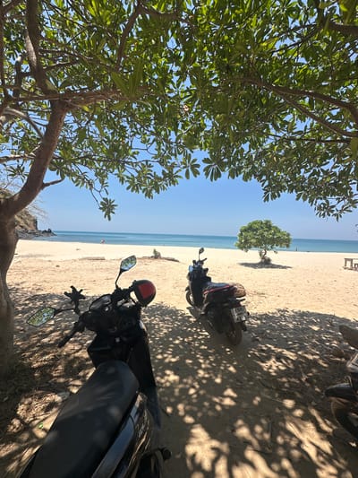 The image depicts a sunny beach scene at Ao Khlong Jak, Thailand, observed from beneath the dappled shade of a leafy tree. In the immediate foreground, two motorbikes are parked on sandy ground under the tree's canopy, casting distinct shadows. The motorbike on the left is black, partially visible, with a red and black helmet resting on its handlebar. The second motorbike, dark-colored, is seen from its rear-left, displaying a Thai license plate reading "1 ชล" and "4212", and appears to have a dark bag secured to its rear seat.
Beyond the shaded area, a wide, light-tan sandy beach stretches towards the calm, blue ocean under a clear, bright blue sky. On the far left of the beach, a rocky headland extends into the water. Approximately midway across the beach, a solitary, well-foliaged tree stands, casting a small shadow. Several indistinct human figures are visible on the beach in the distance; at least two are walking near the shoreline, and another appears seated further right. A log or piece of driftwood lies horizontally on the sand near the center. To the far right, a rustic wooden table and bench set is visible on the beach.