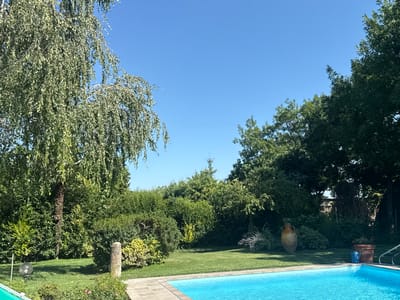 The image depicts a serene backyard setting with a vibrant turquoise swimming pool in the foreground. The pool is bordered by a light-colored tiled pathway. To the left of the pool, a lush green lawn is visible, dotted with various shrubs and a stone pillar. A large tree with weeping branches dominates the left side of the frame, casting shadows on the lawn. In the middle ground, a large, antique-style ceramic amphora stands on the grass, and to its right, a terracotta pot holds flowering plants. A small blue watering can is placed near the pot. The background is filled with dense green foliage and trees, suggesting a private garden or residential area. The sky above is a clear, bright blue, indicating a sunny day. While the image captures a residential garden, its specific location within Reggio nell'Emilia, Italy, cannot be determined from the visual information provided.