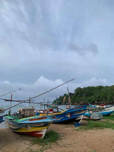 This image depicts a beachfront scene in Mirissa, Sri Lanka, characterized by a fleet of colorful, traditional fishing boats resting on a sandy shore under a cloudy sky. The boats are varied in size and design, with some featuring vibrant paintwork in shades of blue, green, yellow, and red. Many of the boats are adorned with identifying numbers and symbols. Bamboo poles, likely used for the boats' outriggers or as part of a larger structure, are prominent, extending upwards and across the frame. In the background, lush green vegetation covers a hillside, suggesting a coastal landscape. The sea is visible behind the boats, with gentle waves breaking on the shore. The overall atmosphere is one of a working fishing village, with boats pulled ashore, awaiting their next voyage.
