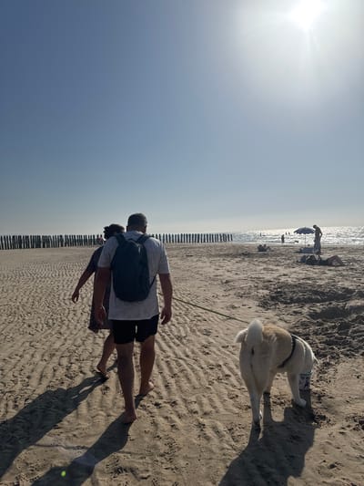 The image captures a sunny day at a sandy beach in Wissant, France. The sun is high in the sky, casting long shadows on the sand, suggesting it is late afternoon or early morning. The sea sparkles in the background, with a line of wooden posts marking the edge of the water. Several people are visible enjoying the beach. In the foreground, a man with a backpack walks on the sand, his legs and feet clearly visible. Further up the beach, a person is lying down on the sand. A dog, possibly an Akita, is lying on its side in the sand, appearing relaxed or enjoying the cool sand. In the distance, more people are scattered across the beach, some near a beach umbrella. The overall mood is peaceful and relaxed, indicative of a pleasant day at the beach. No visible text is present in the image.