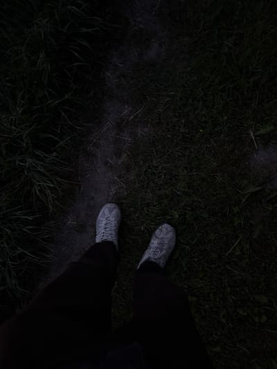 The image captures a first-person, downward view of a person's feet on a dark, grassy path. The subject is wearing light grey or white athletic sneakers with visible laces and dark pants, contrasting with the dim surroundings. The ground beneath the sneakers is an unpaved, lighter-colored dirt or muddy path, worn through dense, dark green grass and scattered low-lying vegetation.
The scene is enveloped in very low light, strongly suggesting it is nighttime, late evening, or pre-dawn. This dim illumination makes the details beyond the immediate foreground indistinct and creates a somber or mysterious atmosphere. There are no discernible weather conditions or visible text. The setting appears to be an outdoor, natural environment, likely a trail or rural track, aligning with the location context of Лабжанскі сельскі Савет, Belarus. The activity depicted is simply standing or pausing on the path.
