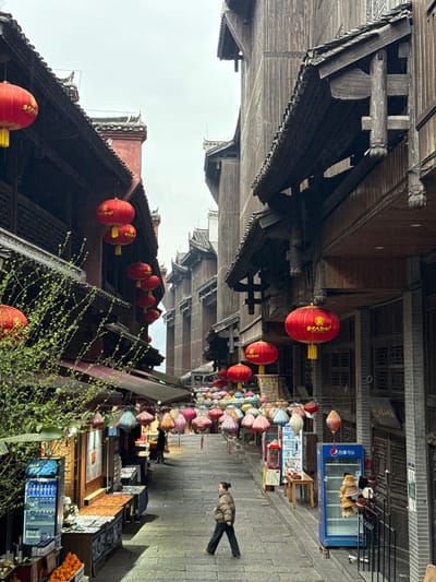 The image displays an uphill, stone-paved alleyway situated in a historic district of Pengshui Miao and Tujia Autonomous County, China, observed under an overcast sky. The alley is bordered on both sides by multi-story traditional Chinese buildings constructed primarily of dark wood with traditional tiled roofs, some featuring red plaster sections. Numerous red circular Chinese lanterns, adorned with yellow tassels and Chinese characters, are suspended from the eaves and balconies of these structures. Further up the street, a dense canopy of multicolored fabric lanterns of varying shapes is strung across the alley. On the left side in the foreground, a storefront exhibits green leafy branches, a glass-fronted refrigerated display unit containing beverages, and a wooden stall displaying orange fruits, likely tangerines, alongside other covered items. In the midground on the right, a blue Pepsi-branded upright refrigerator is visible, along with a small wooden table and additional retail displays. A single individual, a woman dressed in a light brown puffer jacket, dark trousers, and dark shoes, walks uphill on the stone pavement in the central midground, her back partially turned towards the viewer.