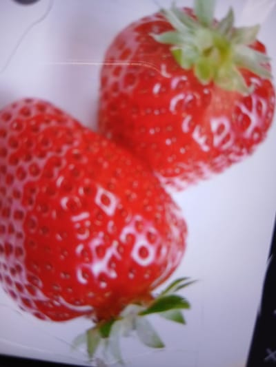 The image shows a close-up view of two ripe strawberries. The strawberries are bright red with visible seeds and green leafy tops. The background is a soft white, suggesting a clean and simple presentation of the fruit. The lighting is bright and even, highlighting the texture and vibrant color of the strawberries. The image does not contain any elements that indicate a specific location in the city of Auk, Kyrgyzstan, or any other geographical context. There are no people, actions, or interactions depicted.