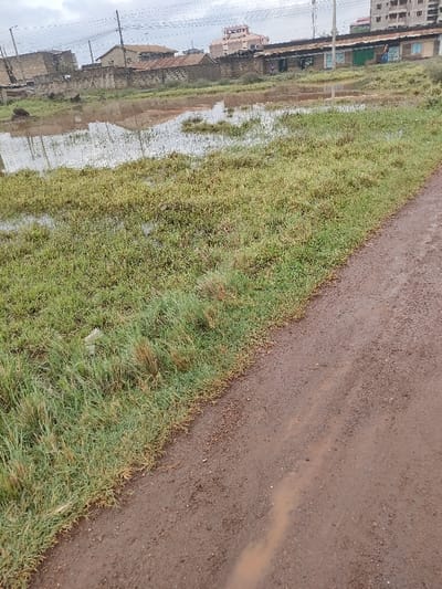 This image depicts a waterlogged semi-urban landscape in Juja ward, Kenya, under an overcast sky. The foreground on the right features a muddy, unpaved dirt road with visible water runoff marks and small puddles. To the left, a large expanse of uncultivated ground is saturated with standing muddy water, reflecting the sky and distant structures, and covered in green and yellow-green grass.

In the mid-ground, a damaged stone wall and several single-story buildings with corrugated iron roofs are visible. The background on the right presents a row of commercial or residential structures constructed from concrete blocks, each featuring a distinctively colored metal roll-down shutter (e.g., green, blue). Two adult figures are discernible standing near these structures, with one near a blue shutter. A smaller, indistinct figure is present further left. Utility poles and overhead power lines traverse the background, with taller multi-story buildings visible in the far distance to the right.