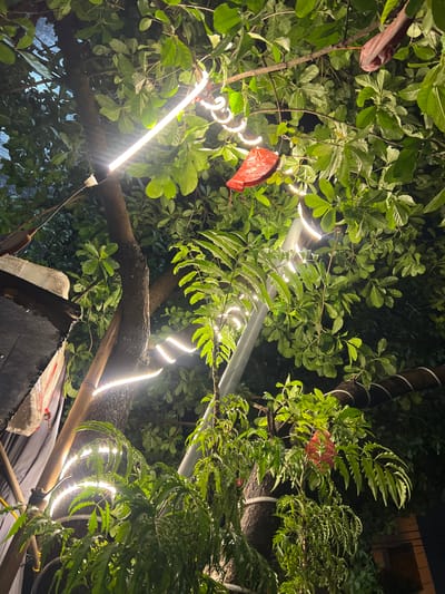 An outdoor nighttime scene is depicted, likely in Minh Xuân Ward, Vietnam, given the presence of lush green foliage and warm ambient lighting. The focus is on a tree with thick branches, around which is wrapped a bright white LED strip light. The light illuminates the leaves and the trunk of the tree, creating a soft glow.
Two red, decorative objects, possibly paper lanterns or fabric pouches, are hanging from the branches. One is clearly visible in the upper right quadrant of the image, and another is partially obscured by leaves in the mid-right. Several other LED light strips are also visible, some coiled around parts of the tree, and others extending linearly along branches.
In the lower left, part of a dark structure with some lighter colored material is visible, possibly a roof or canopy, with a bamboo pole extending upwards. The overall impression is one of an outdoor space decorated for an event or as a permanent fixture, utilizing lighting to enhance the natural elements of the trees. The background is dark, suggesting it is night, with the lights providing the primary illumination. No people are visible in the frame.