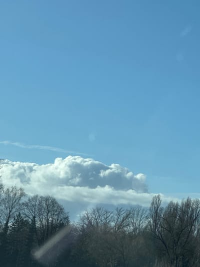 The image displays an outdoor scene dominated by a clear blue sky, a band of cumulus clouds, and a dense treeline. The upper two-thirds of the frame feature a bright, light blue sky with a few wispy, high-altitude cloud formations visible in the upper left and right. A soft, circular, diffuse bright spot is present in the mid-upper sky. A prominent horizontal band of white and grey cumulus or stratocumulus clouds occupies the middle ground, extending across the entire width of the image. The lower third of the image shows the upper sections of a dense forest or treeline composed primarily of bare deciduous trees, indicating a winter or early spring season. A darker evergreen tree is visible on the far left. A diagonal streak of light or glare is observable in the lower-left quadrant, suggesting the image was captured through a reflective surface. No individuals, specific man-made structures, or active interactions are depicted. The scene is located in Illkirch-Graffenstaden, France.