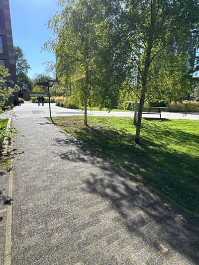 This outdoor scene captures a sunlit paved pathway bordered by green grass and mature trees, likely in a park or campus setting in Hull, United Kingdom. The wide pathway is constructed from light grey rectangular pavers, stretching into the distance, and is heavily patterned with distinct, dappled shadows cast by overhead trees.

To the right of the path is a vibrant expanse of green grass. To the left, several deciduous trees with lush, bright green foliage line the walkway. One prominent tree trunk stands near the center of the frame. A dark-colored park bench with a slatted seat and back is visible on the grassy area next to the path, under the shade of a tree. Further along the pathway, near another seating structure, two indistinct figures can be seen, appearing to stand or sit.

Above the trees on the far left, a clear, bright blue sky is visible, indicating a sunny day. The strong, elongated shadows suggest either morning or late afternoon. A modern building with grey and white horizontal cladding is partially visible in the bottom-left corner of the frame. The scene conveys a sense of peace and natural beauty within an urban or semi-urban environment. No visible text is present.