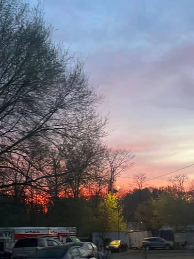 The image presents a landscape view, seemingly in the early evening or dawn. A large tree with bare branches dominates the foreground. Beyond the tree, there's a mix of other trees and bushes, creating a layered effect. The sky displays a gradient of colors, ranging from a pale lavender-gray at the top to a more vibrant pink and orange near the horizon, indicative of a sunrise or sunset. In the background, on the right side of the frame, parked vehicles are visible. Based on the presence of a U-HAUL truck, the location can be inferred to be in proximity to a rental or moving service in the City of Newburgh, United States of America. The setting appears to be urban or semi-urban, given the presence of vehicles and what looks like structures behind the trees. There are no people visible in the image.