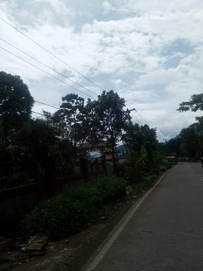 The image depicts an outdoor scene in Sarwahi Mal., India, characterized by a paved road running along the right side and dense vegetation on the left. The sky is overcast with a significant presence of white stratocumulus clouds, revealing patches of lighter blue.
In the foreground, a dark gray concrete road with horizontal scoring marks extends from the bottom right, curving slightly uphill towards the upper right. A solid white line delineates the left edge of the road. Adjacent to the road's left edge is a dirt and grass verge containing scattered debris, including broken concrete pieces and dark green undergrowth.
To the left of the verge, a dark brown, possibly wooden, fence or wall runs horizontally. Behind this fence, substantial dark green foliage from various trees and shrubs occupies the midground. Through a gap in the foliage, a multi-story building with light-colored walls and a reddish-brown roof is visible. A white, possibly tarp-covered object is partially discernible behind the fence and vegetation. Overhead, multiple dark utility lines run horizontally across the frame, strung between unseen poles.
In the background, more dense trees and vegetation extend, with dark hills or mountains visible beneath the cloudy sky. Further down the curving road, indistinct shapes suggest the presence of vehicles or structures. No clearly identifiable individuals or specific human actions are discernible.
