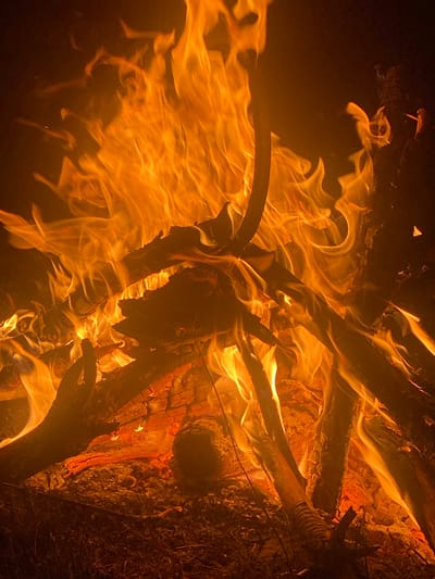 The image shows a close-up view of a bonfire with flames in various shades of orange and yellow. The fire is burning on a bed of glowing embers and ash, with several pieces of wood visible. The wood pieces are of various sizes and shapes, some appearing charred and cracked from the heat. The flames are dynamic and fluid, with some licking upward and others swirling around the logs. The background is dark and out of focus, emphasizing the bright intensity of the fire. No specific location in Batak, Bulgaria can be identified from the image alone. There are no people or discernible actions taking place within the frame.