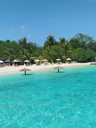 A high-angle shot captures a serene beach scene in Gulhi Falhu, Maldives. The foreground is dominated by crystal-clear, turquoise water, with subtle ripples indicating gentle movement. Two thatched umbrellas stand in the water, partially submerged, providing a glimpse of their thatched tops above the surface.
The middle ground reveals a pristine white sand beach lined with lounge chairs and white umbrellas. Several thatched-roof cabanas are visible further back, and a few people are seated or reclined on the beach, enjoying the scenery. The beach is backed by a dense line of lush green tropical vegetation, including palm trees. The sky above is a clear, vibrant blue. The overall impression is one of tropical tranquility and relaxation.