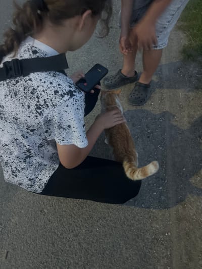 In Bârnova, Romania, an overhead shot captures a person in a white t-shirt with a black splatter pattern, kneeling and holding a dark smartphone. Next to them, an orange and white cat is being petted on its back by the person. Another individual, whose legs are visible from the knees down, stands nearby wearing grey denim shorts and black Crocs. The ground appears to be a rough, gravelly surface, indicative of an outdoor, possibly rural or semi-urban, setting. The lighting suggests it is either early morning or late evening, with shadows cast on the ground.