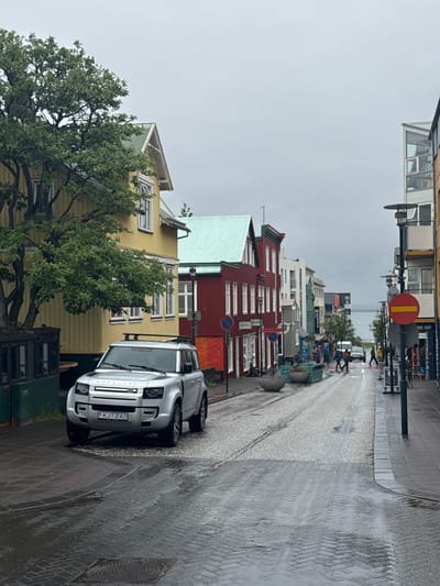 This image depicts a wet Laugavegur street in Reykjavik, Iceland, under an overcast sky. A silver Land Rover Defender, bearing Icelandic license plate `KJ Z42` and equipped with a roof rack, is parked on the left side of the paved street, angled slightly towards the viewer. Behind it, a large, yellow wooden building with a green corrugated metal roof is partially obscured by a tree with dense green foliage. Further down the street on the left, a red wooden building with a similar green roof displays a "Gin Kál" sign. Buildings lining the right side of the street exhibit various colors and architectural styles, including white, teal, and red facades.
The street itself is visibly wet, reflecting light, and consists of patterned paving leading towards a body of water (Faxaflói Bay) in the distance. Several pedestrians are scattered in the mid-ground, walking on sidewalks and crossing the street. A white van and another car are visible in the distance on the street. Streetlights, bollards, concrete planters, and traffic signs (including a prominent red circular 'no entry' sign with a yellow bar on the right) are present along the thoroughfare. A manhole cover is visible in the wet foreground.