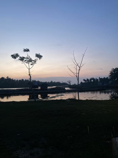 The image depicts a rural scene in Kualaidi, Indonesia at dawn or dusk. Two bare trees and one tree with leaves are silhouetted against a pale, gradient sky. The scene is dominated by a body of water reflecting the sky and trees. A small wooden structure on stilts is visible in the water. Dense vegetation and palm trees line the far bank of the water feature. Some grassy area is visible on the right foreground. The image is oriented vertically.