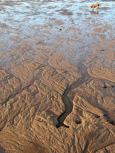 The image shows a sandy beach with intricate patterns formed by receding water. In the distance, a dog walks near the water's edge. The sand is wet and reflects the light, creating a shimmering effect. The patterns in the sand suggest a recent tide, with channels and ripples carved by the water. The scene is likely from a beach in Gijón/Xixón, Spain, given the natural patterns and the presence of a dog.