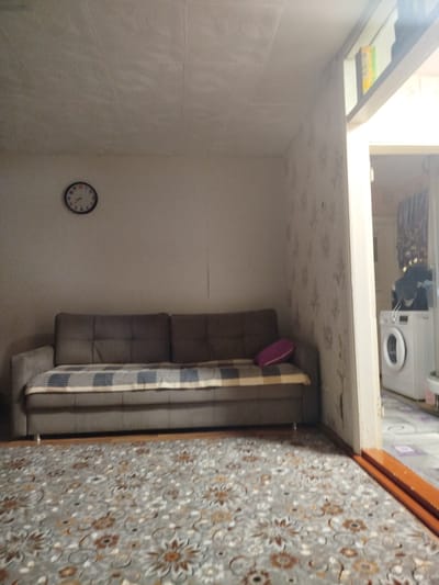 The image depicts an interior scene, likely a living room or hallway, within a building located in the city of Elovo, Russia. In the foreground, a grey carpet with a floral pattern covers the floor. To the left, a plush, grey sofa with a checkered throw is positioned against a wall. A round wall clock with a black frame and white face, showing the time to be approximately 3:40, is mounted on the wall above the sofa. The wall to the right of the sofa features patterned wallpaper. Further to the right, a doorway opens into another area where a white washing machine is visible. The environment appears to be a domestic setting.