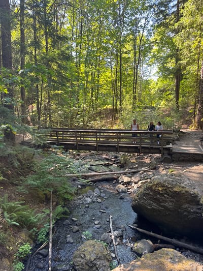 The scene depicts a wooded outdoor environment in Wyeth, United States, under bright daylight. A dark-stained wooden bridge with slatted railings spans a rocky stream in the mid-ground. Three individuals are positioned centrally on the bridge, facing the viewer. From left to right, they are: a male in a white tank top and dark shorts with a backward baseball cap, a female in a dark jacket or top, and a female in a light-colored top. All three are standing still. The stream bed below the bridge contains a visible flow of water, interspersed with numerous rocks and fallen logs. Dense, tall green trees with sunlight filtering through their canopy dominate the background and surround the area. A dirt path is visible leading to and from the bridge on both sides. Large, irregular, moss-covered boulders are present in the foreground on the right bank of the stream, with smaller rocks and vegetation, including ferns, on the left bank.