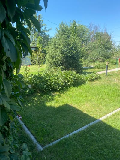 The image depicts a sunny day in a park or garden area with lush green grass and various trees and shrubs. In the foreground, large green leaves from a plant partially obscure the view on the left side. The middle ground features a prominent evergreen tree, surrounded by a dense cluster of green bushes and smaller plants. A paved pathway curves through the grass, with a dark-colored post and a light-colored cylindrical object visible along its edge. Further in the background, more trees and foliage create a sense of depth. The sky is clear blue, indicating good weather. The scene is set in the city of Жалпақсай, Kazakhstan.