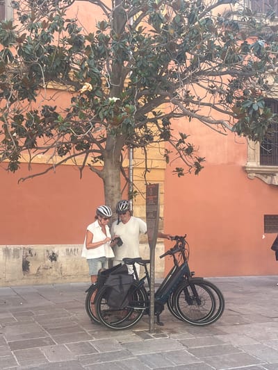 In Granada, Spain, two individuals wearing helmets stand next to two electric bicycles on a paved walkway. The woman, on the left, wears a white short-sleeved top and denim shorts, and is looking at her phone. The man, on the right, wears a light-colored t-shirt and appears to be holding a wallet or phone. A large tree with dark green leaves and a few light-colored flowers is situated behind them, with its branches extending towards the top of the frame. Behind the tree and people, a building with a textured, orange-colored wall is visible. The bicycles are dark blue and equipped with panniers.