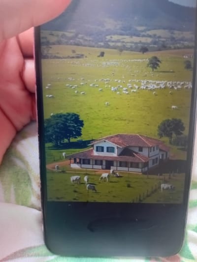 A mobile phone displays a landscape image. The scene includes a large green field dotted with numerous white cows, grazing peacefully. A traditional-style house with a red tile roof and white walls stands prominently in the field. A few scattered trees provide shade. Mountains appear in the distance. The phone screen has a visible crack. The phone is held in someone's hand, with a floral patterned surface visible beneath.