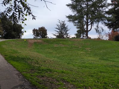 A lush, green hill dominates the foreground, dotted with subtle variations in grass tone. Two golf carts are visible atop the hill, their white forms contrasting with the foliage. Mature trees, exhibiting varying shades of green and hints of autumn color, frame the scene. The sky is overcast, casting a soft, diffused light over the landscape. A paved path curves along the left edge of the frame.